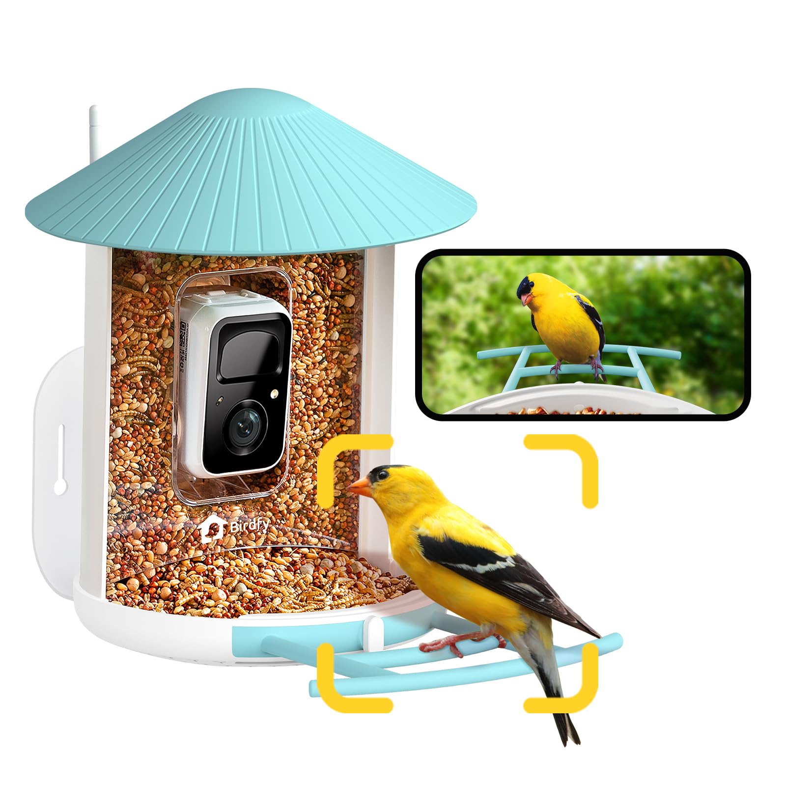 Image Birdfy Feeder